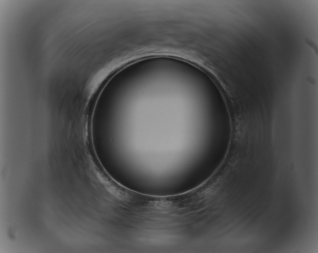 X0000101951511200807181438