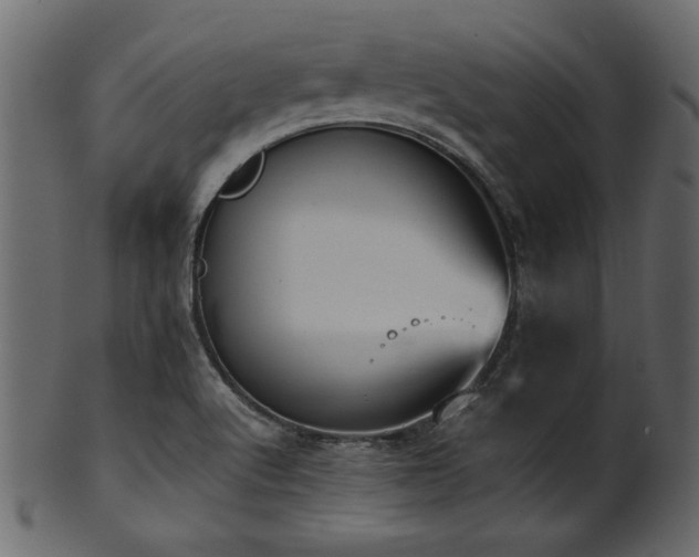 X0000101951512200807181438