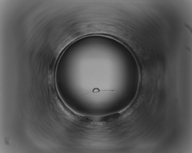 X0000101951513200807181438