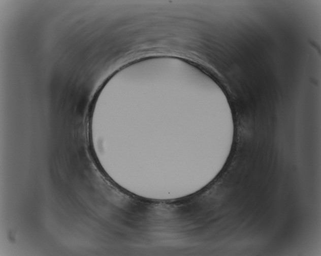 X0000101951514200807181438