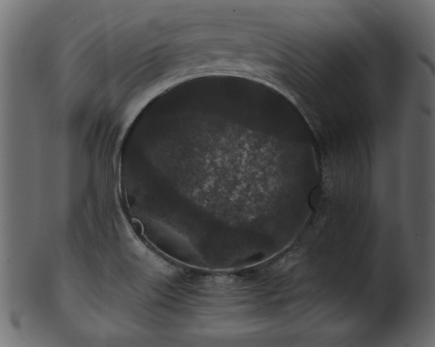 X0000101951515200807181438