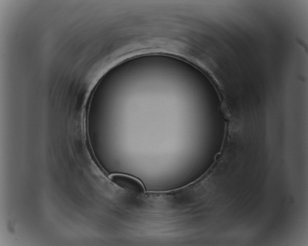 X0000101951516200807181438