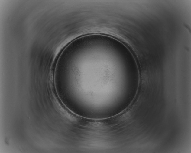 X0000101951517200807181438