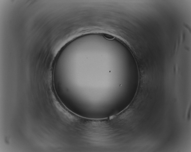 X0000101951518200807181438