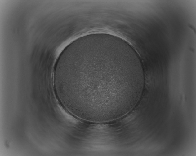 X0000101951519200807181438