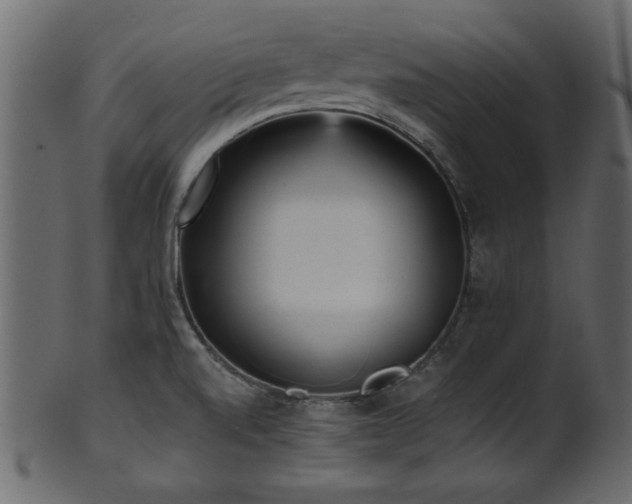 X0000101951520200807181438