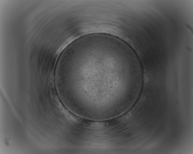 X0000101951521200807181438