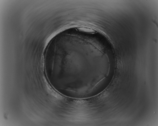 X0000101951522200807181438