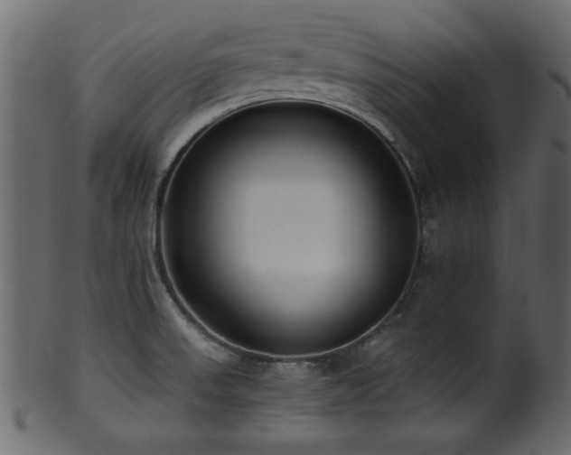 X0000101951523200807181438