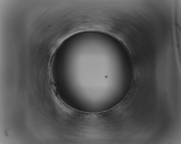 X0000101951524200807181438