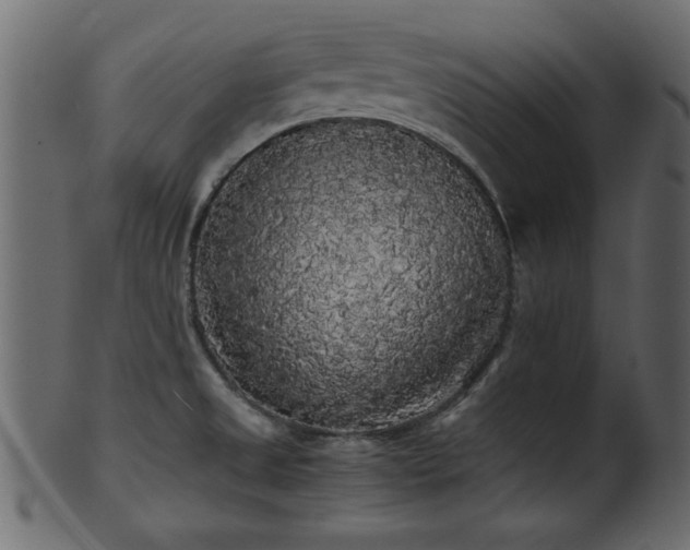 X0000101951525200807181438