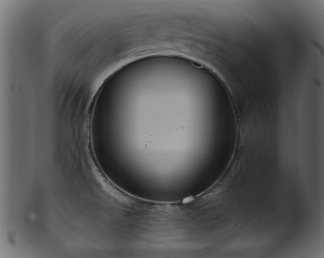 X0000101951526200807181438