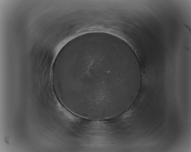 X0000101951527200807181438