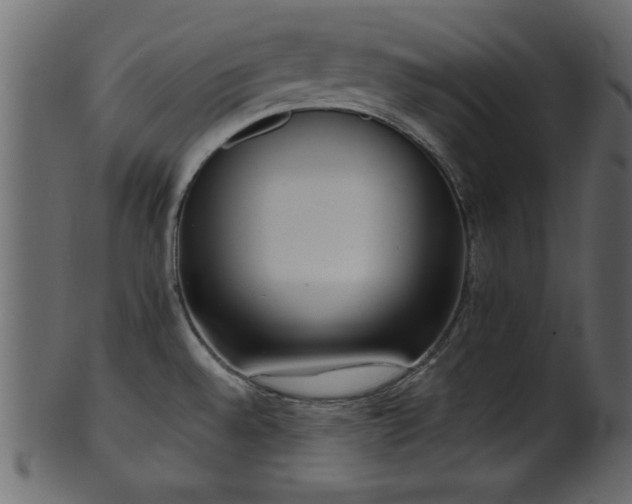 X0000101951528200807181439