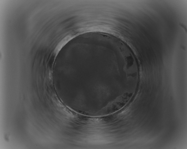 X0000101951529200807181439