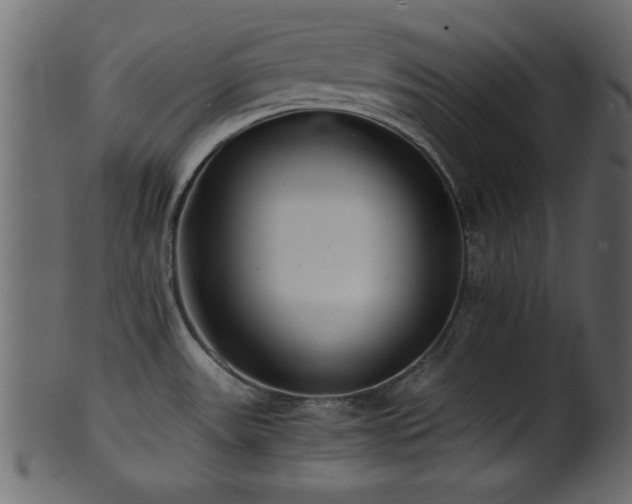 X0000101951531200807181439