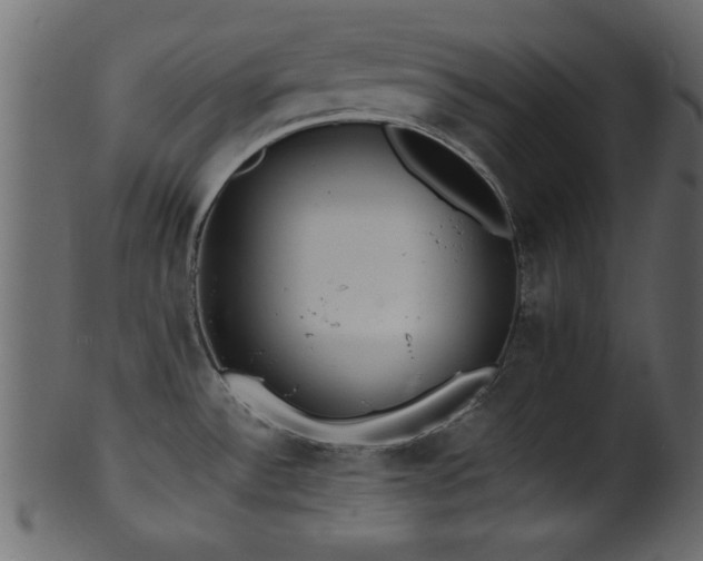 X0000101951532200807181439