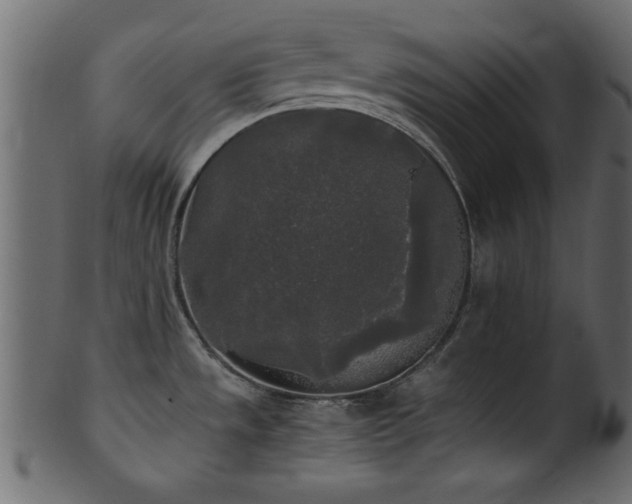 X0000101951533200807181439