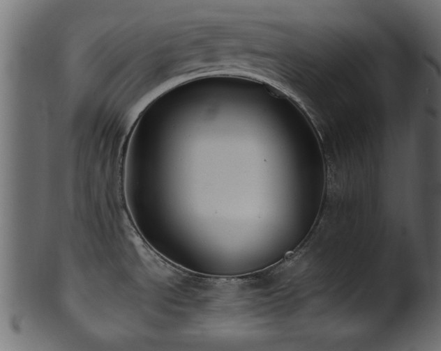 X0000101951534200807181439