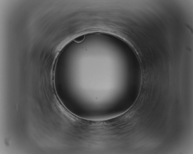 X0000101951535200807181439