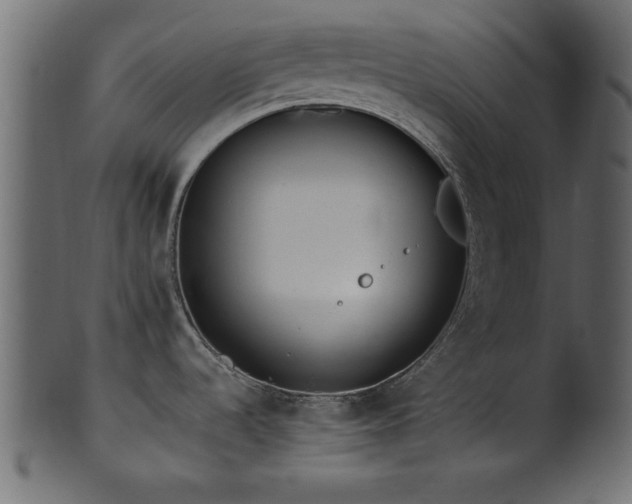 X0000101951536200807181439