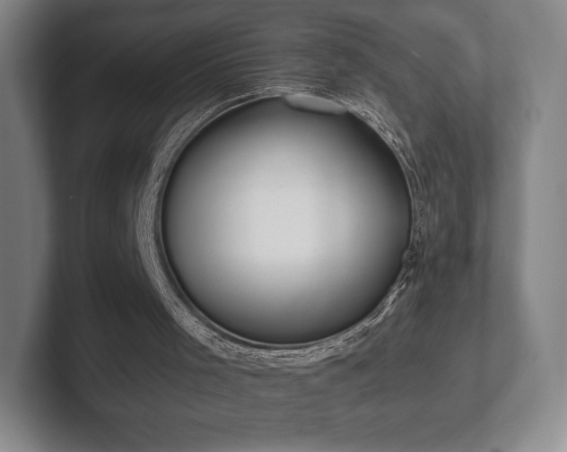 X0000101950001200807251144