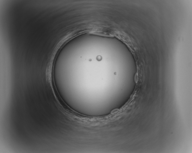 X0000101950003200807251144