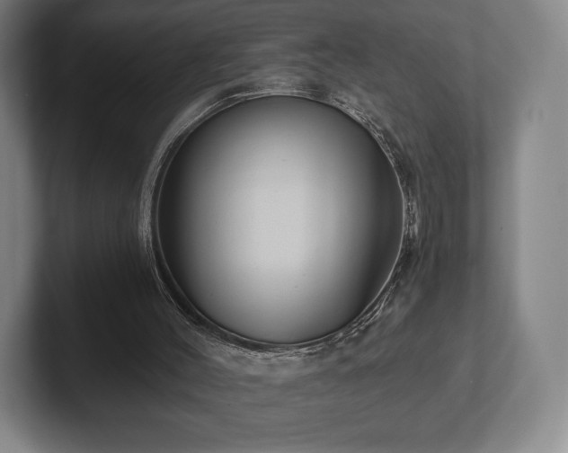 X0000101950004200807251144