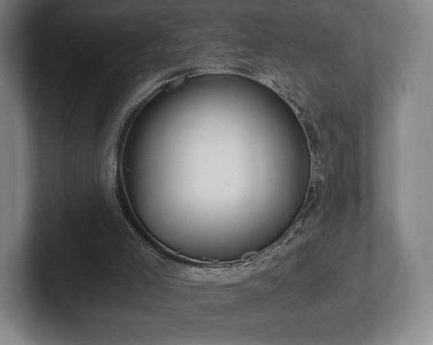 X0000101950005200807251144