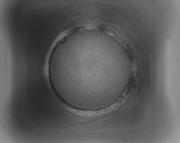 X0000101950006200807251144