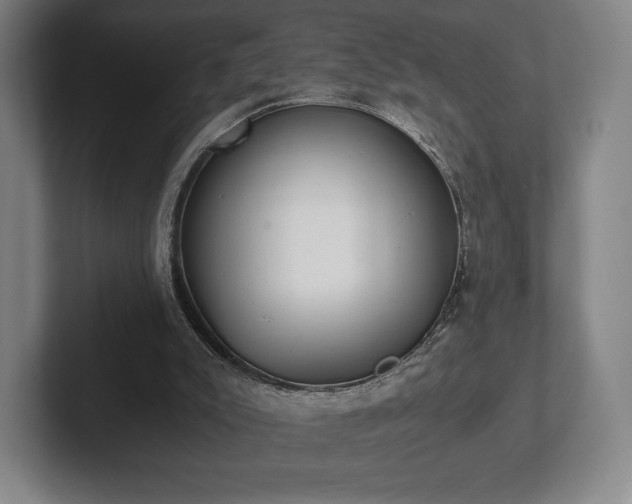 X0000101950007200807251144