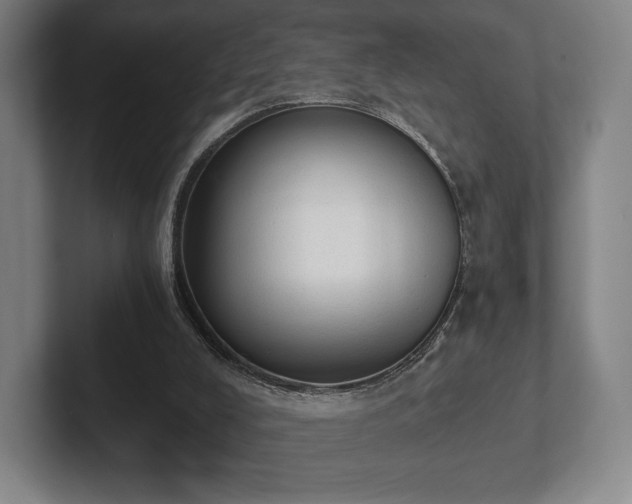 X0000101950008200807251144