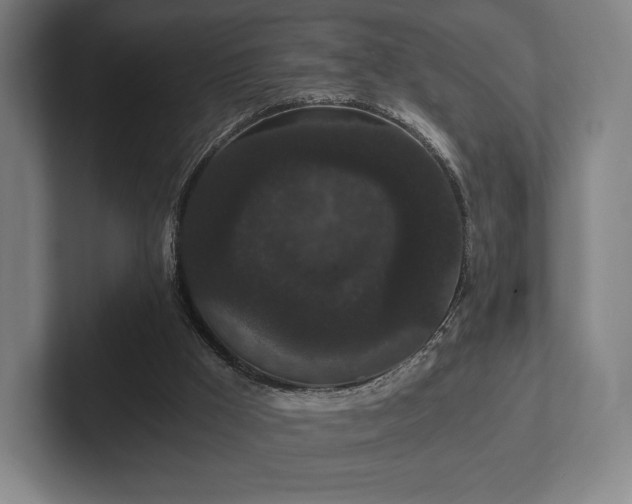 X0000101950009200807251144