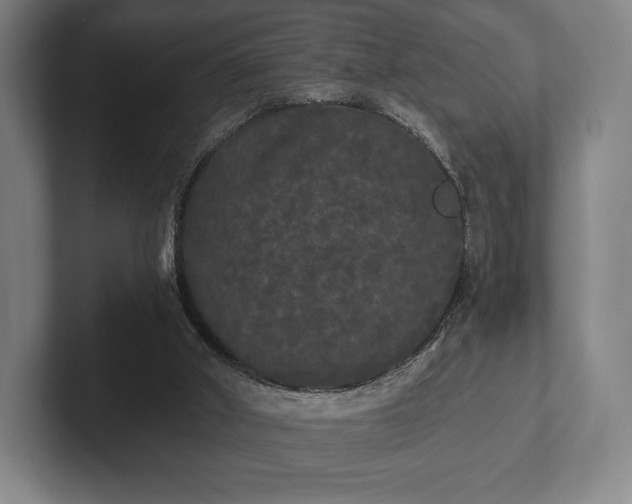 X0000101950010200807251144