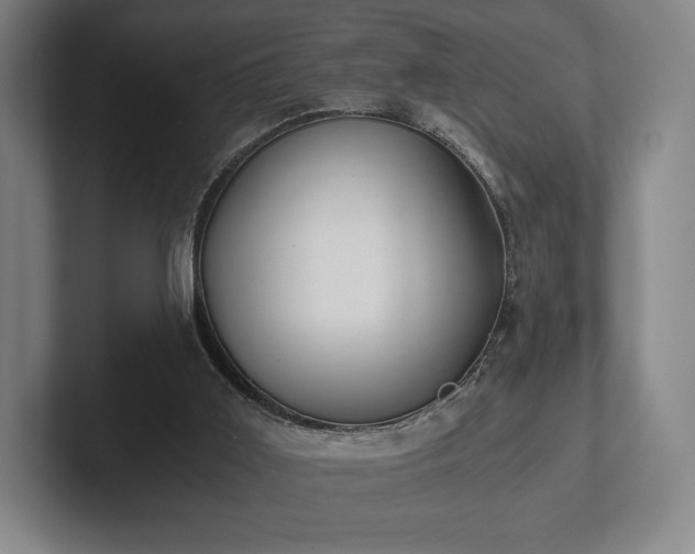 X0000101950011200807251144