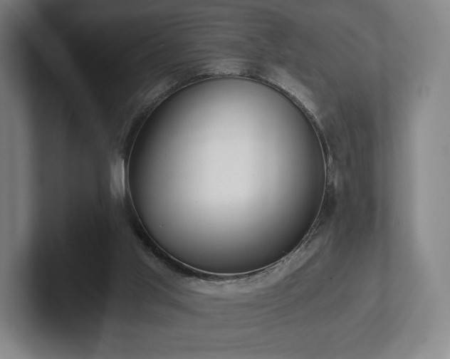 X0000101950013200807251144