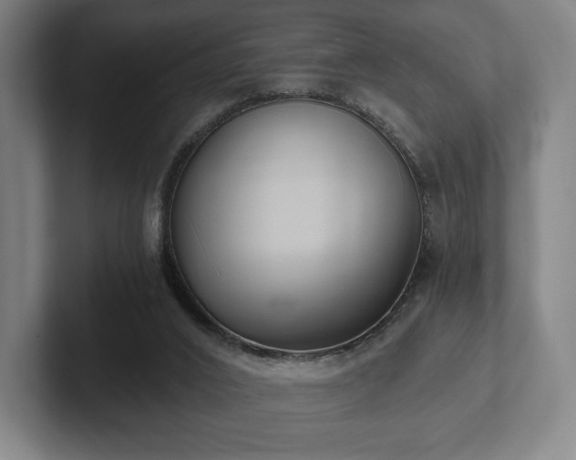 X0000101950016200807251143