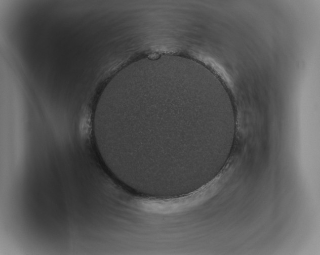 X0000101950017200807251143