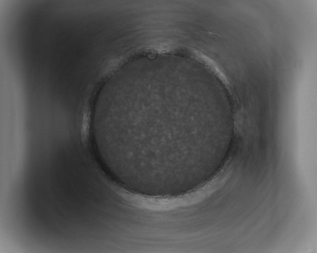 X0000101950018200807251143