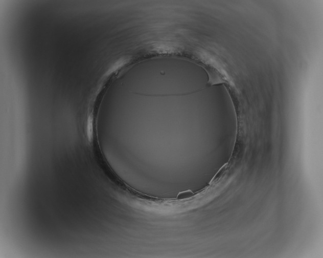 X0000101950019200807251143