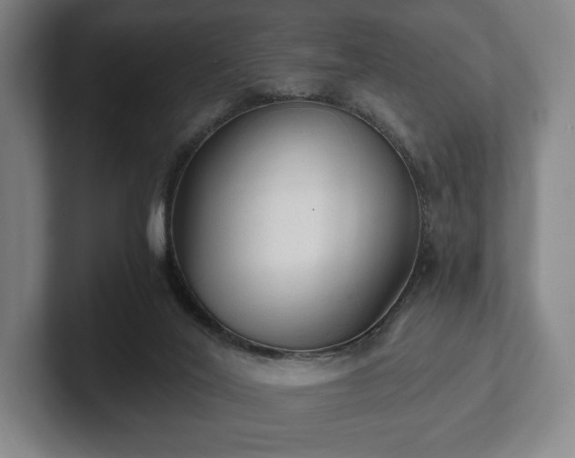 X0000101950020200807251143