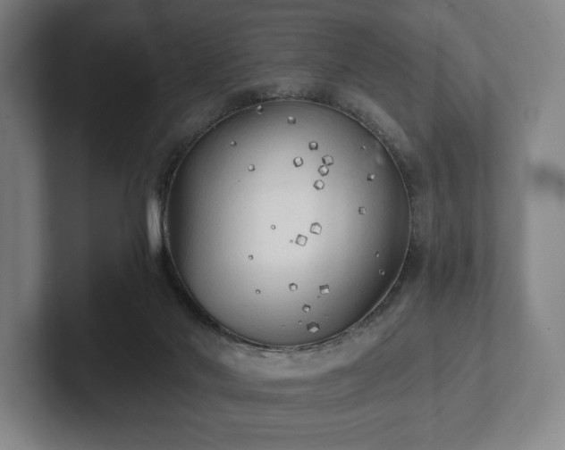 X0000101950022200807251143
