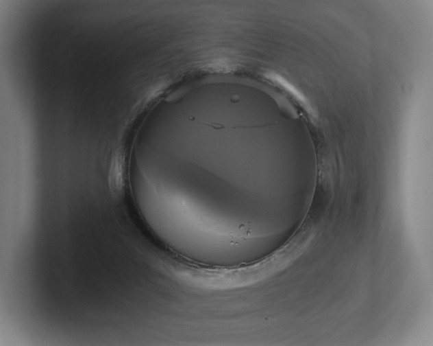 X0000101950023200807251143