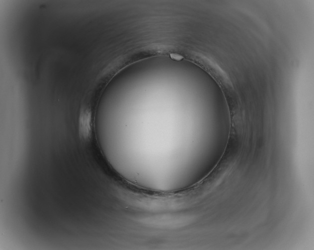 X0000101950024200807251143