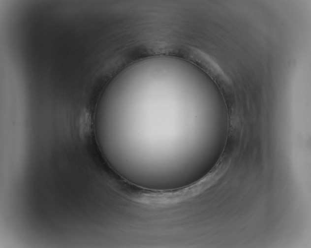 X0000101950025200807251143