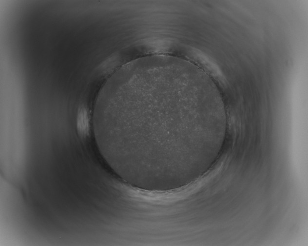 X0000101950026200807251143