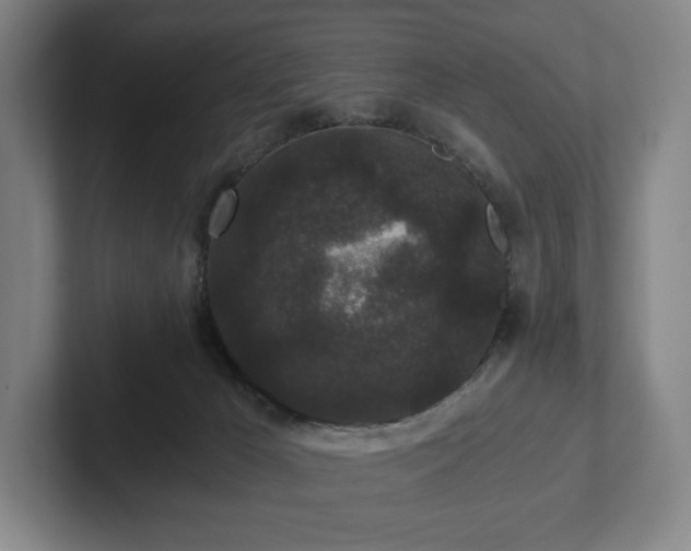 X0000101950029200807251143