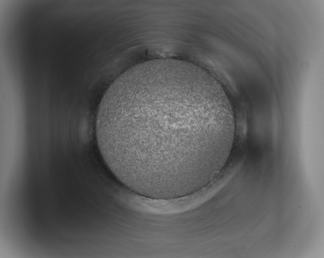 X0000101950030200807251143