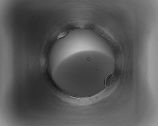 X0000101950031200807251143