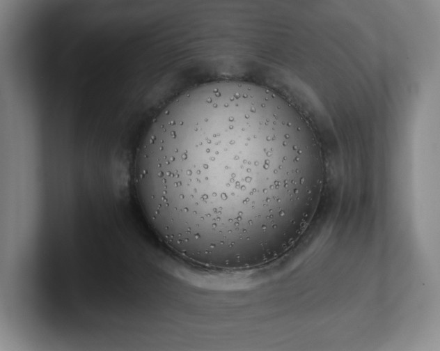 X0000101950032200807251143